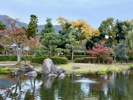 秋の夕方　福井県紫式部公園 夕方,夕暮れ,夕雲の写真素材