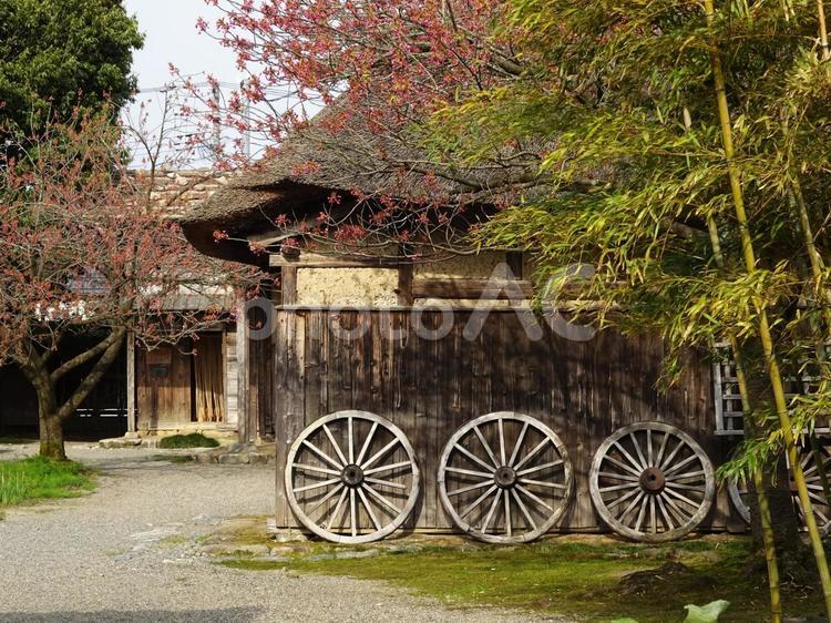 北方文化博物館 北方文化博物館,車輪,茅葺き屋根の写真素材