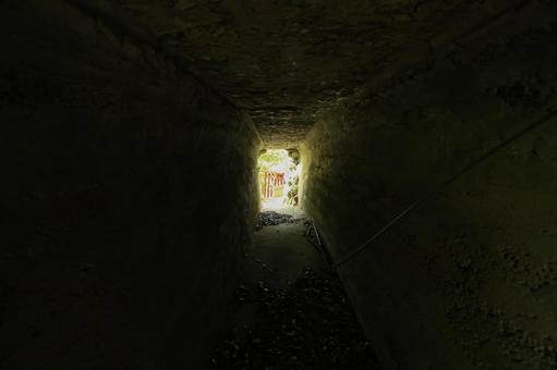 愛媛県八幡浜市　愛宕山王照院　遊歩道 愛宕山王照院,愛宕山,神社の写真素材