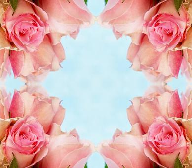 ピンクカラーのバラ花柄イメージ素材 ピンクカラーのバラ花柄イメージ素材 花,ピンク,バラの写真素材