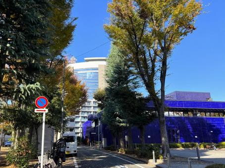 練馬図書館と練馬区役所 風景,景色,景観の写真素材