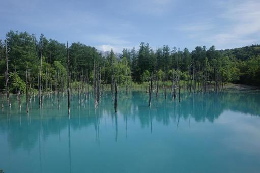 Photo, natural, blue, pool, 