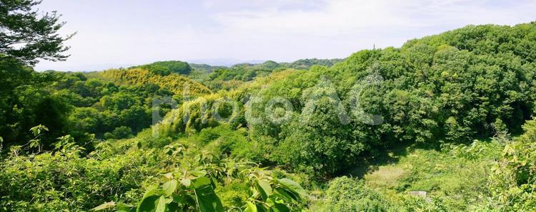 緑豊かな今治市菊間町の風景-01 今治市,菊間町,滝の写真素材