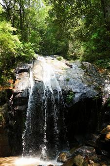 森林の中の岩肌を滑り落ちる涼しげな夏の滝 滝,森林,自然の写真素材