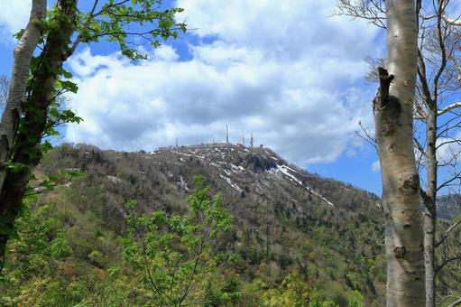 山頂 山頂の写真