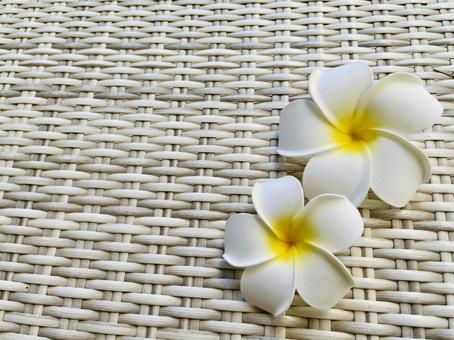 Plumeria, JPG Plumeria, JPG