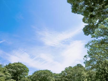 青と緑 青と緑の写真