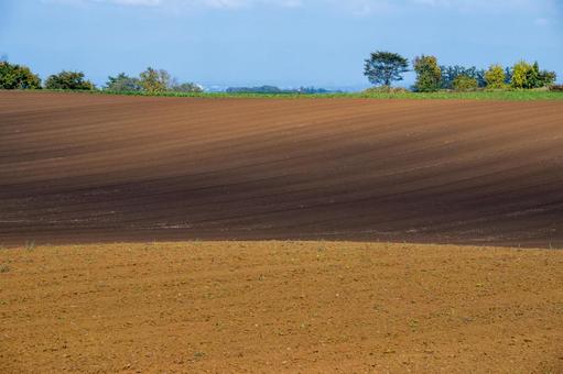 大地に刻まれた秋の畑のグラデーションの写真