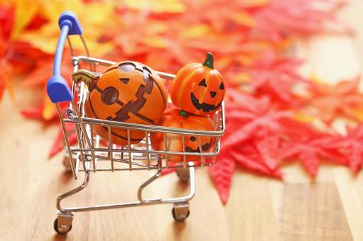 ハロウィンのカボチャはいりませんか。 ハロウィン,かぼちゃ,行事の写真素材