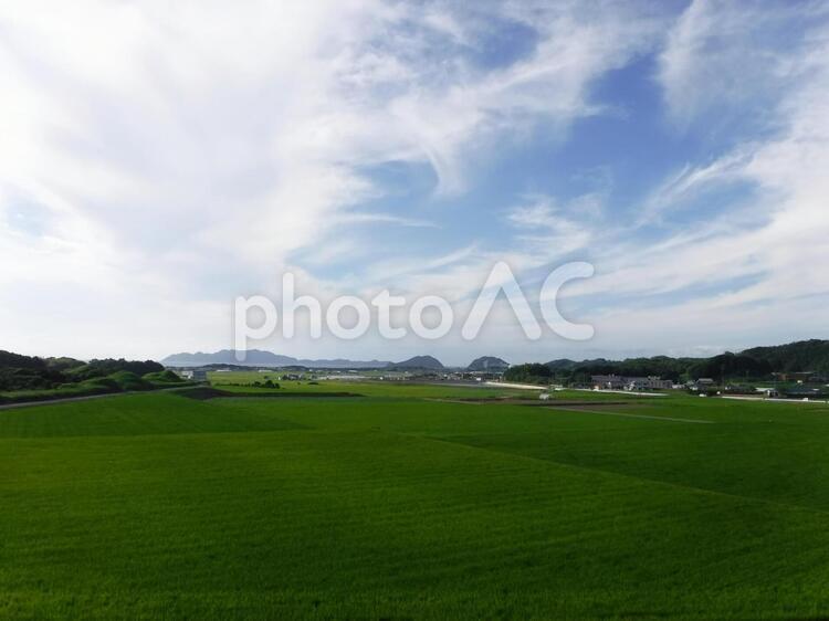 田舎の風景 稲,田んぼ,田舎の写真素材