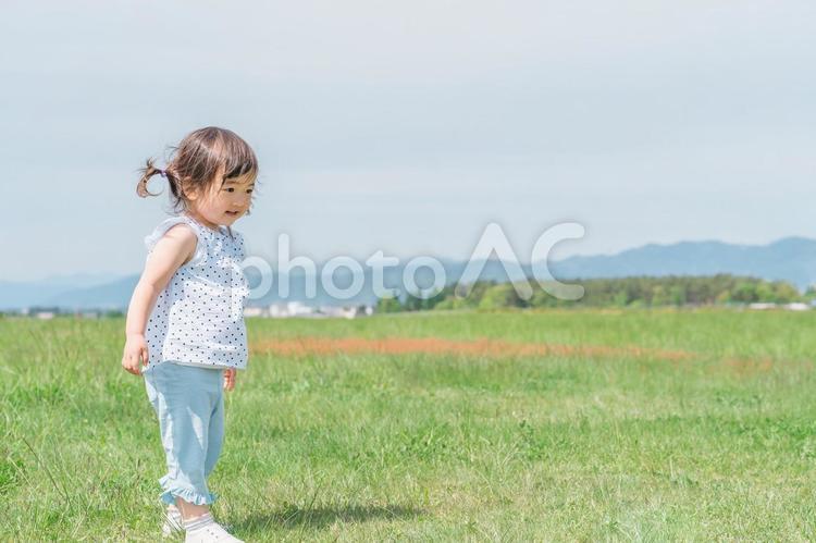 公園で遊ぶ・走る笑顔の子供 子供,公園,走るの写真素材