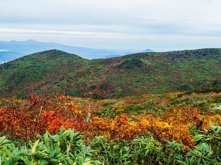 紅葉の栗駒山(須川岳) 紅葉の栗駒山(須川岳)の写真