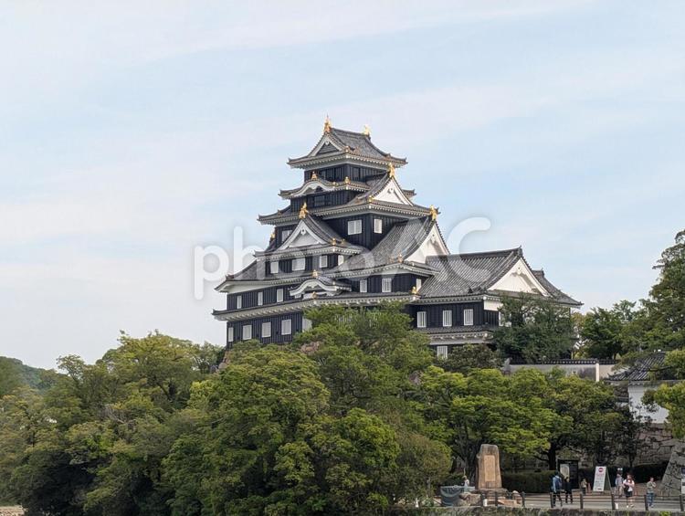 岡山城１（岡山城と新緑の美しい風景） 岡山城,お城,城の写真素材