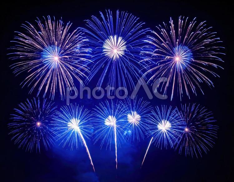 夏の夜空を彩る大輪の花火 花火,夏,夜空の写真素材