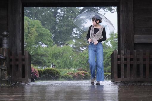 雨散歩 雨散歩の写真