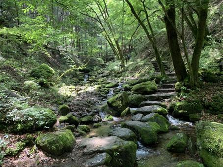 苔岩と流れの美しい渓谷の夏景色 渓谷,渓流,清流の写真素材