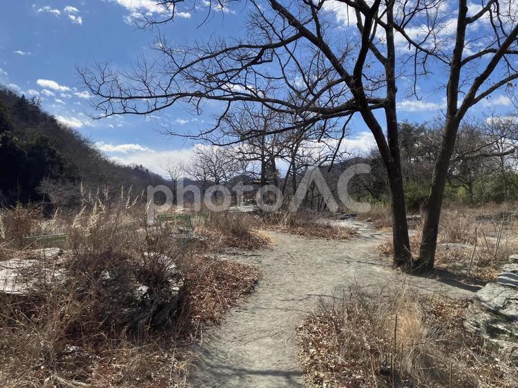 冬の長瀞岩畳の風景 長瀞,岩畳,岩の写真素材