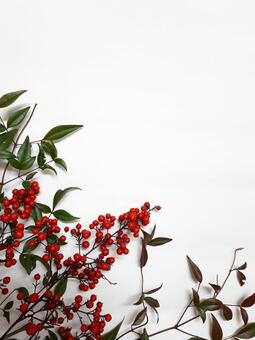 ナンテン　赤い実の写真