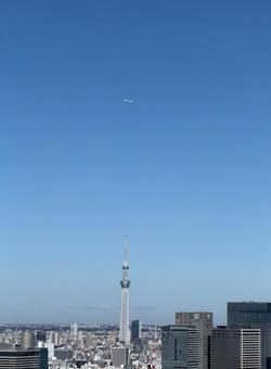 スカイツリーと飛行機 スカイツリー,飛行機,街並みの写真素材