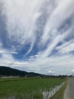 夏の空と雲と山と田んぼ(縦) 夏の空と雲と山と田んぼ(縦)の写真