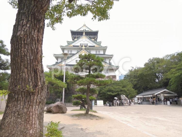 大阪城　５ 大阪城,城,日本の写真素材