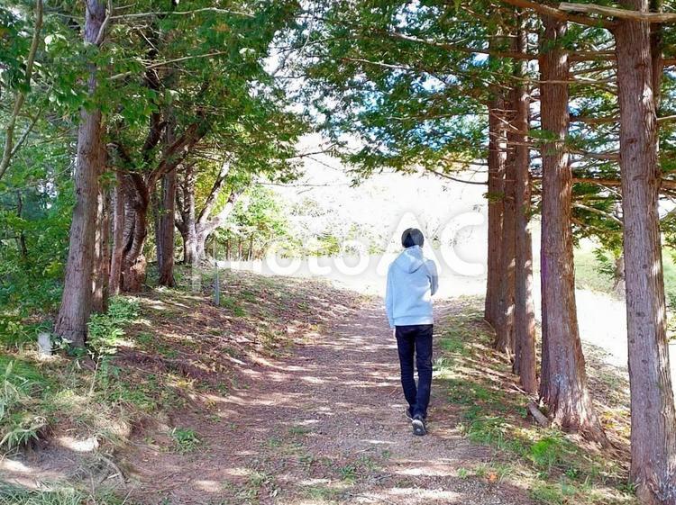 自然の中を散策 散策,自然,男の写真素材