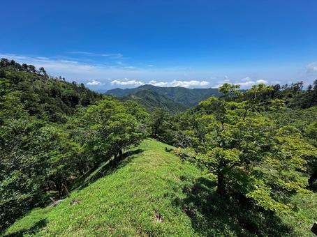 大台ヶ原 大台ヶ原 日出ヶ岳,大台ヶ原,奈良の写真素材