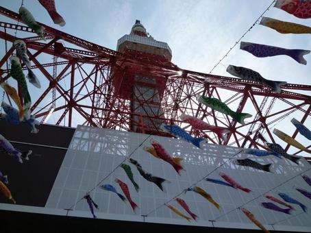 東京タワーと鯉のぼり2 東京タワーと鯉のぼり2の写真