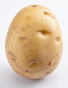 白い背景に皮付きのじゃがいもの写真