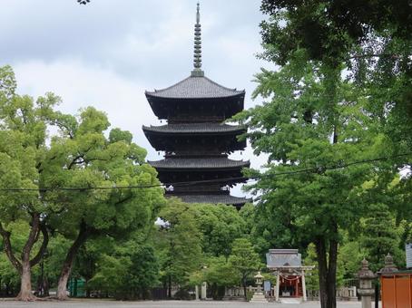 京都 東寺 五重塔 京都,東寺,五重塔の写真素材