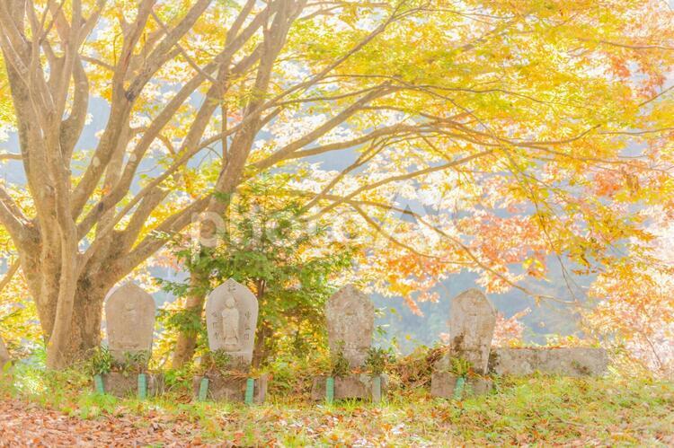紅葉と路傍の石地蔵 秋,紅葉,桂の写真素材