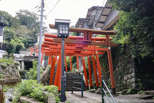 若宮稲荷神社の赤い鳥居 若宮稲荷神社の赤い鳥居 若宮稲荷神社,長崎九社,鳥居の写真素材
