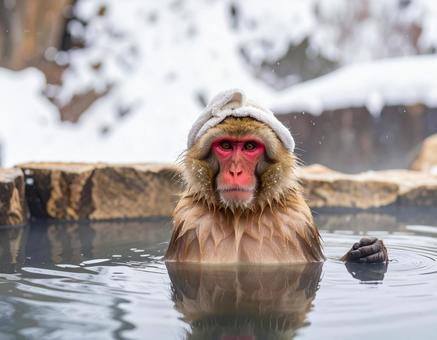 スノーモンキー・露天風呂の野猿の写真