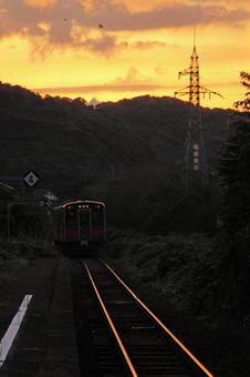 帰ったぜ 帰ったぜの写真