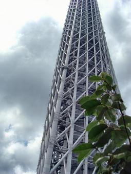 スカイツリーの骨組み-12 東京スカイツリー,鉄骨,骨格の写真素材