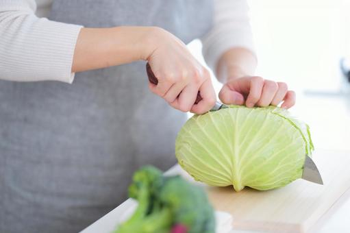 半分にキャベツを切っている人の手元 半分にキャベツを切っている人の手元 キャベツ,半分,料理の写真素材