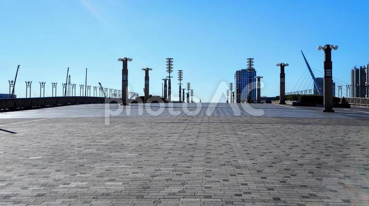 夢の大橋・お台場のビルの街並み（東京都） 冬,夢の大橋,お台場の写真素材