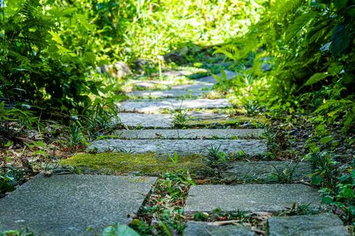 夏の木陰の通り道 夏の木陰の通り道 遊歩道,散歩道,飛び石の写真素材