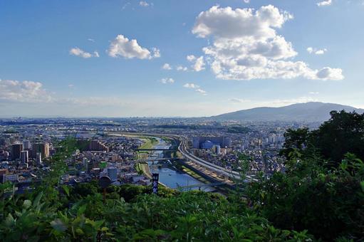 山腹より見下ろす夏の街並み 山腹より見下ろす夏の街並みの写真