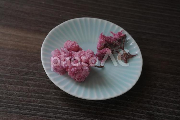 桜の花の塩漬け（レンチン）2 桜の花,塩漬け,春の写真素材