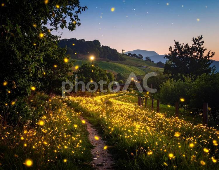 ホタルのいる田園風景 蛍,光,夏の写真素材