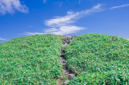 美ヶ原高原の風景 展望台への道 美ヶ原高原の風景 展望台への道の写真