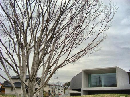 ホキ美術館の外観-4 ホキ美術館の外観-4 ホキ美術館,外観,千葉県千葉市緑区の写真素材