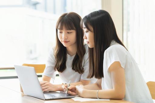 ミーティングをする2人のビジネスウーマン ミーティングをする2人のビジネスウーマン 女性,ビジネス,ミーティングの写真素材