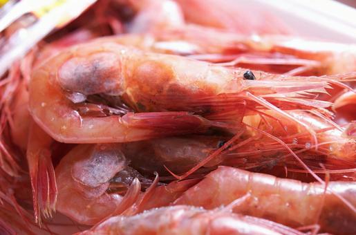 Sweet shrimp from the Sea of Japan, JPG