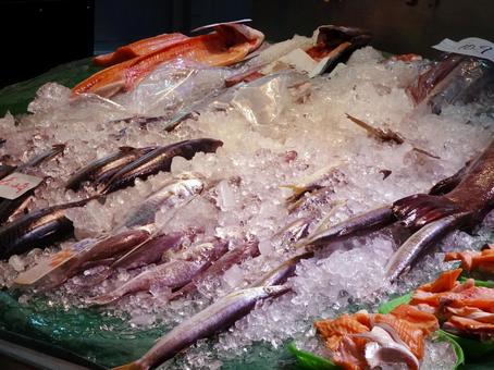 魚市場 魚市場の写真