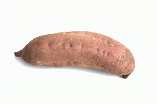 さつまいも　白背景 さつまいも,サツマイモ,野菜の写真素材