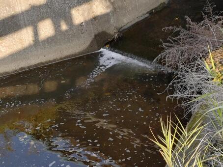 きたなめの川 用水路,水質,泡の写真素材