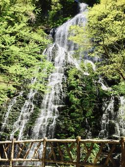 滝 滝,自然,風景の写真素材