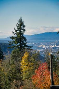 美しい紅葉の秋晴れの日　　　カナダ 紅葉,秋晴れ,美しいの写真素材